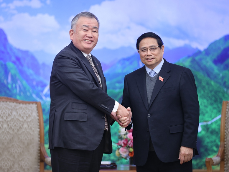 迷与专家们