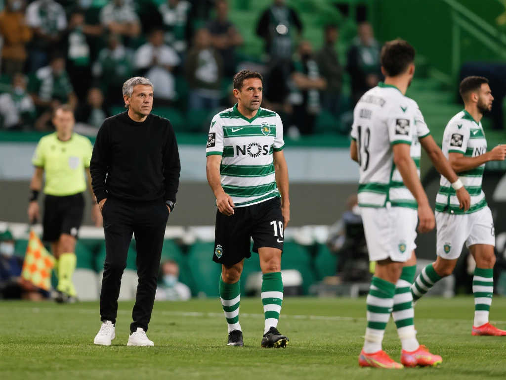 用了库里的 用了库里的